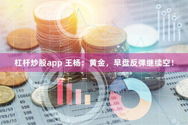 杠杆炒股app 王杨：黄金，早盘反弹继续空！