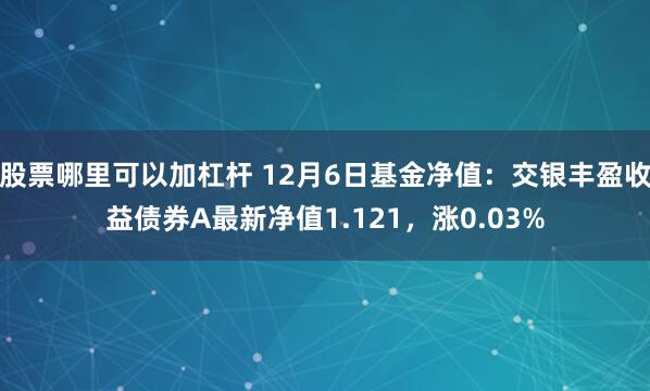 股票哪里可以加杠杆 12月6日基金净值：交银丰盈收益债券A最新净值1.121，涨0.03%