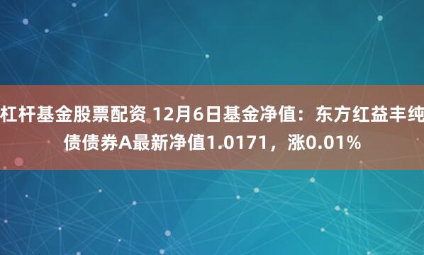 杠杆基金股票配资 12月6日基金净值：东方红益丰纯债债券A最新净值1.0171，涨0.01%