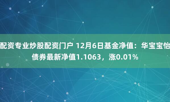 配资专业炒股配资门户 12月6日基金净值：华宝宝怡债券最新净值1.1063，涨0.01%