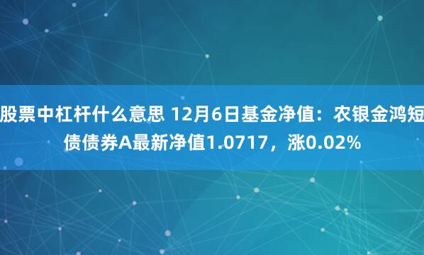 股票中杠杆什么意思 12月6日基金净值：农银金鸿短债债券A最新净值1.0717，涨0.02%