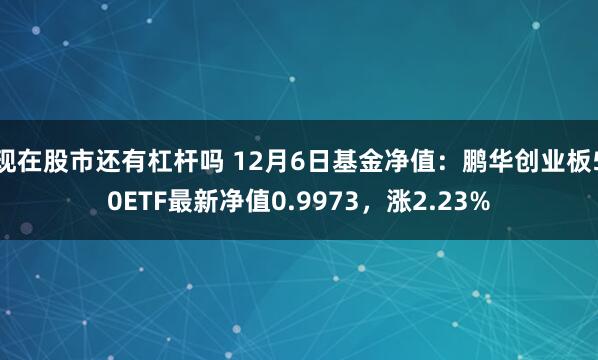 现在股市还有杠杆吗 12月6日基金净值：鹏华创业板50ETF最新净值0.9973，涨2.23%