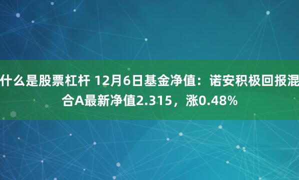 什么是股票杠杆 12月6日基金净值：诺安积极回报混合A最新净值2.315，涨0.48%