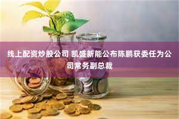 线上配资炒股公司 凯盛新能公布陈鹏获委任为公司常务副总裁