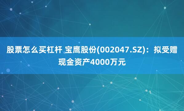 股票怎么买杠杆 宝鹰股份(002047.SZ)：拟受赠现金资产4000万元