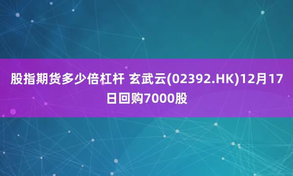 股指期货多少倍杠杆 玄武云(02392.HK)12月17日回购7000股