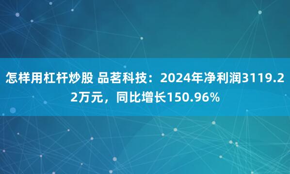 怎样用杠杆炒股 品茗科技：2024年净利润3119.22万元，同比增长150.96%