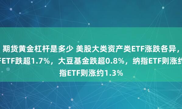 期货黄金杠杆是多少 美股大类资产类ETF涨跌各异，房地产ETF跌超1.7%，大豆基金跌超0.8%，纳指ETF则涨约1.3%