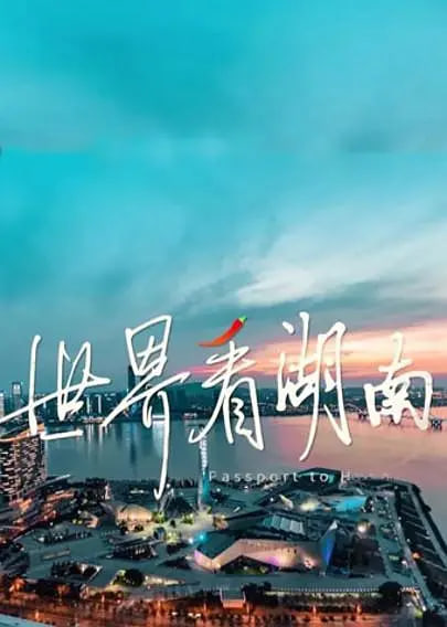 迷雾追凶